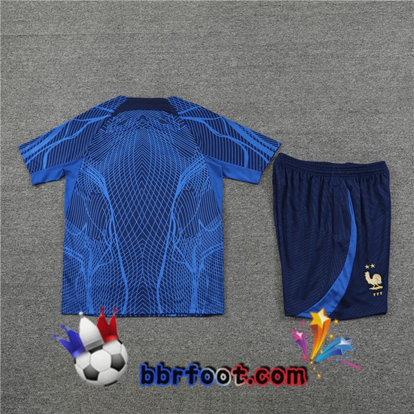 Training T-Shirts France + Shorts Bleu 2022/2023