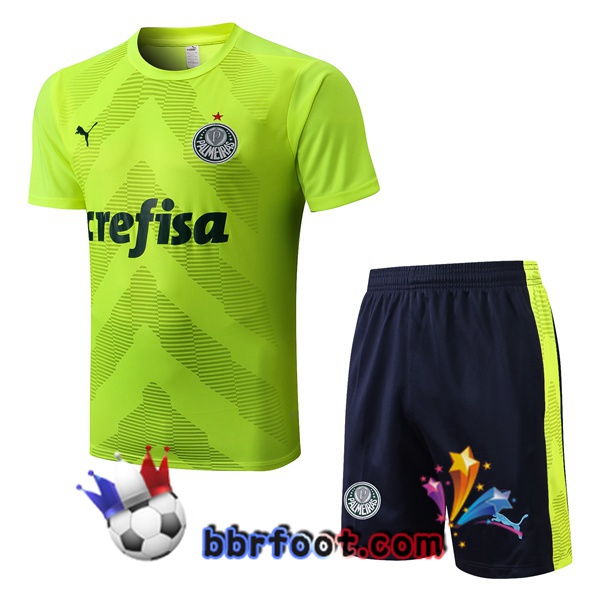Training T-Shirts Palmeiras + Shorts Vert 2022/2023