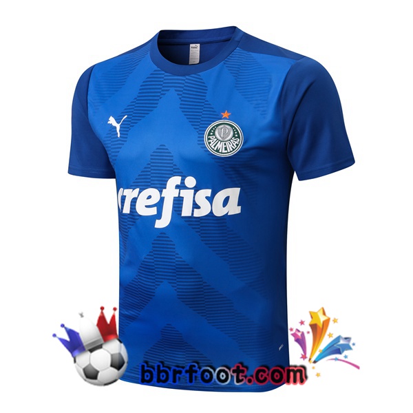 Training T-Shirts Palmeiras Bleu 2022/2023