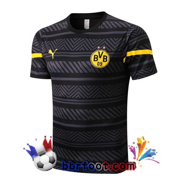 Training T-Shirts Dortmund BVB Gris 2022/2023