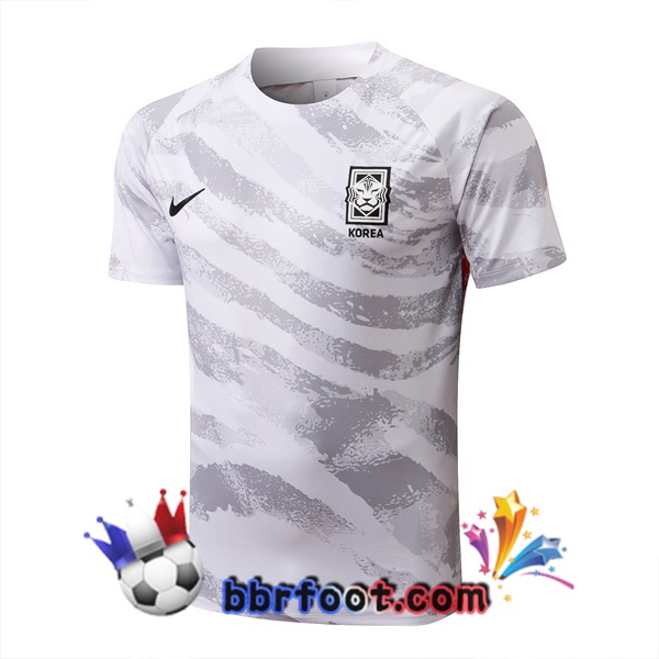 Training T-Shirts Corée Blanc 2022/2023