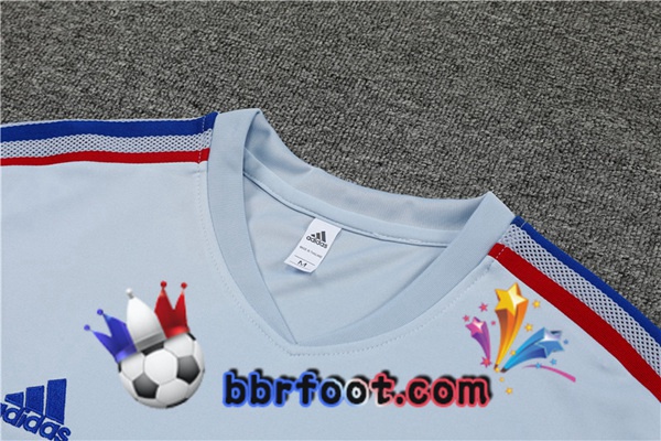 Training T-Shirts Lyon OL + Shorts Gris 2022/2023