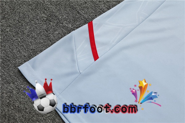Training T-Shirts Lyon OL + Shorts Gris 2022/2023