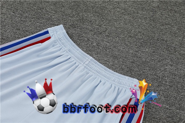 Training T-Shirts Lyon OL + Shorts Gris 2022/2023