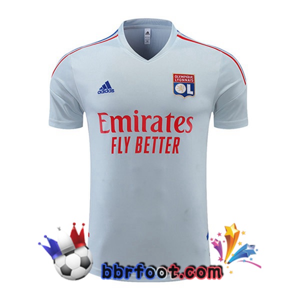 Training T-Shirts Lyon OL Gris 2022/2023