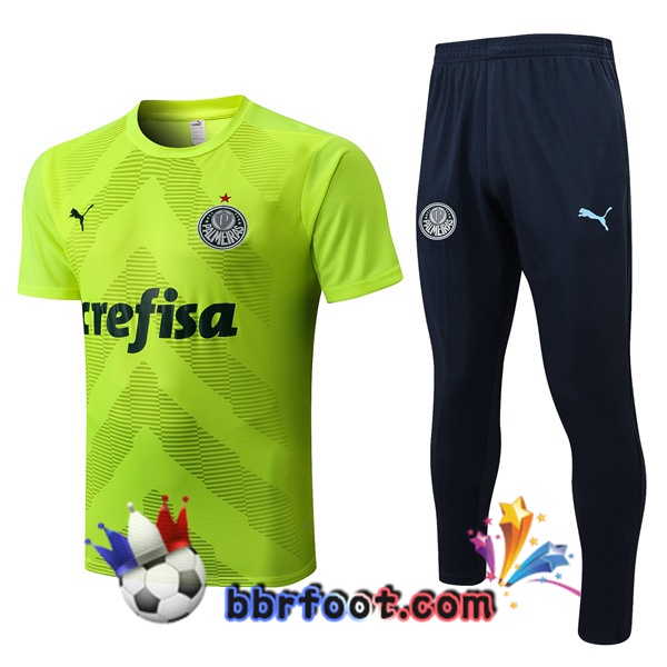 Training T-Shirts Palmeiras + Pantalon Vert 2022/2023