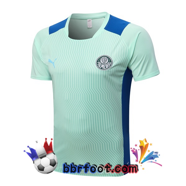 Training T-Shirts Palmeiras Vert 2022/2023