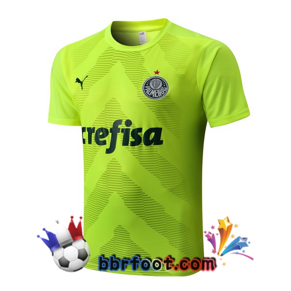 Training T-Shirts Palmeiras Vert 2022/2023