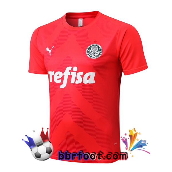 Training T-Shirts Palmeiras Rouge 2022/2023