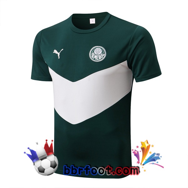 Training T-Shirts Palmeiras Vert Blanc 2022/2023
