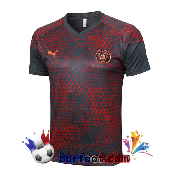 Training T-Shirts Manchester City Rouge Gris 2023/2024