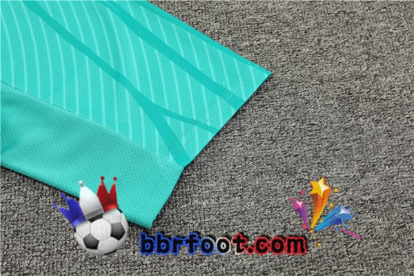 Ensemble Training T-Shirts FC Barcelone + Shorts Vert Bleu Royal 2023/2024