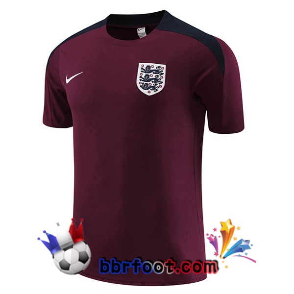 Training T-Shirts Angleterre Rouge 2023/2024