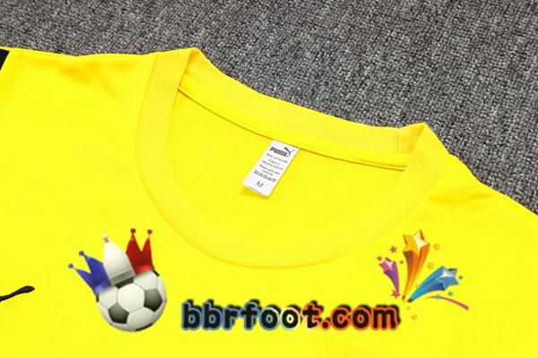 Ensemble Training T-Shirts Dortmund BVB + Pantalon Jaune 2023/2024