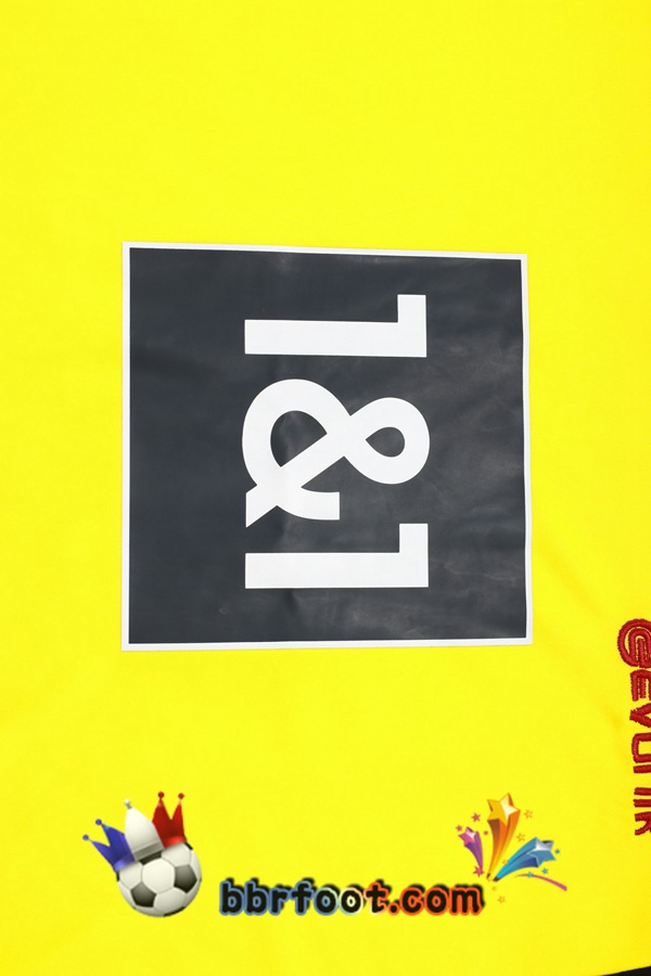 Ensemble Training T-Shirts Dortmund BVB + Pantalon Jaune 2023/2024