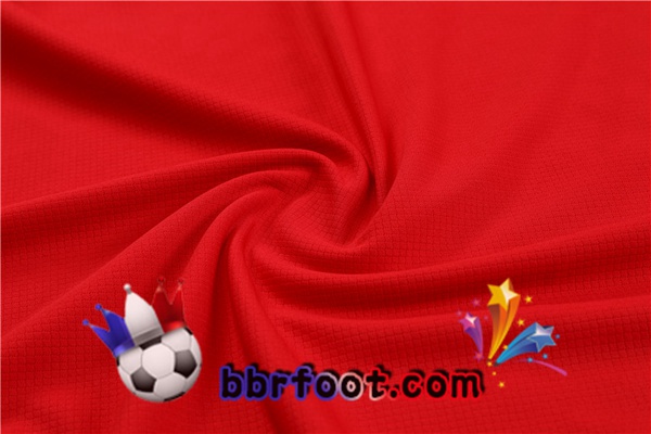 Ensemble Training T-Shirts Portugal + Shorts Rouge 2023/2024