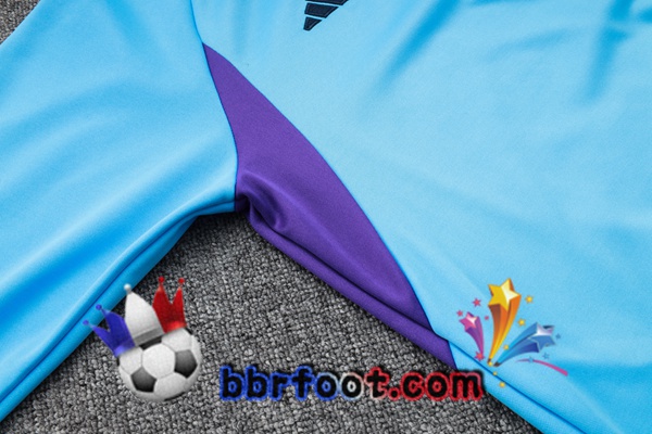 Survetement de Foot - Sweat A Capuche Argentine Bleu 2023/2024