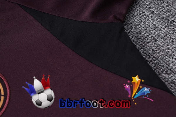 Training T-Shirts Allemagne + Pantalon Rouge 2023/2024
