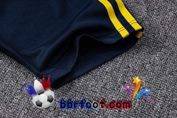 Training T-Shirts Espagne + Pantalon Bleu 2023/2024