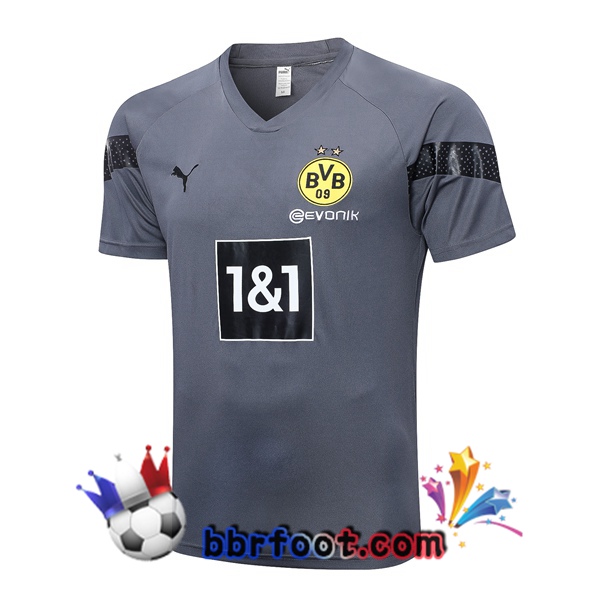 Training T-Shirts Dortmund BVB Gris 2023/2024