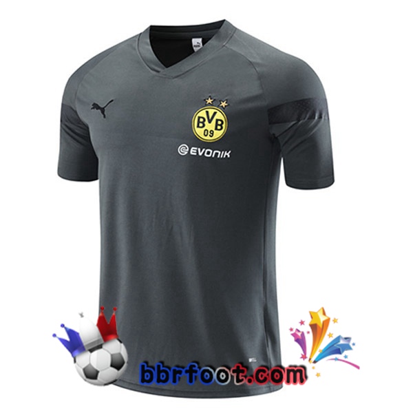 Training T-Shirts Dortmund BVB Gris 2023/2024