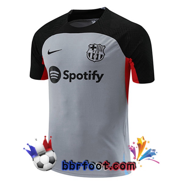 Training T-Shirts FC Barcelone Gris 2023/2024