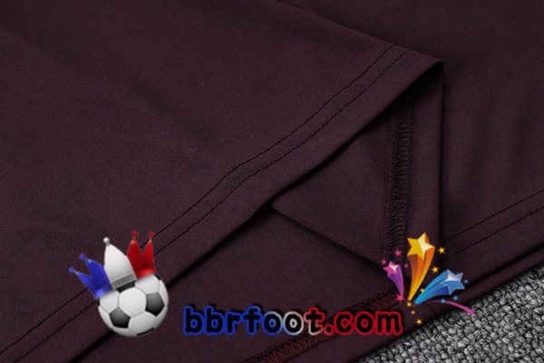 Polo Foot Allemagne + Pantalon Marron 2023/2024