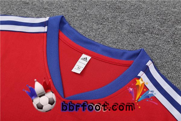 Training T-Shirts Bayern Munich + Shorts Rouge 2023/2024