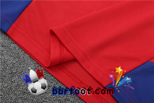 Training T-Shirts Bayern Munich + Shorts Rouge 2023/2024