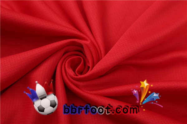 Training T-Shirts Bayern Munich + Shorts Rouge 2023/2024