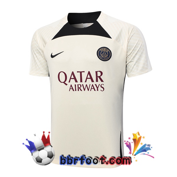 Training T-Shirts Paris PSG Marron 2023/2024