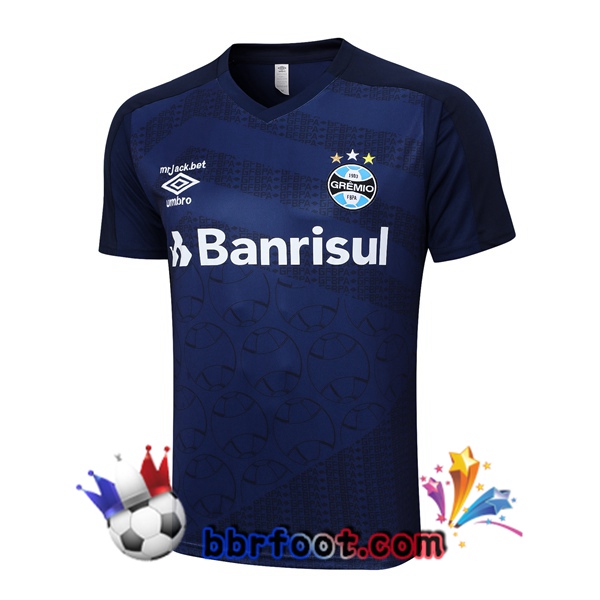 Training T-Shirts Gremio Bleu Royal 2023/2024