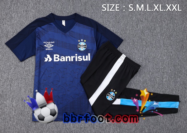 Training T-Shirts Gremio + Pantalon Bleu Royal 2023/2024