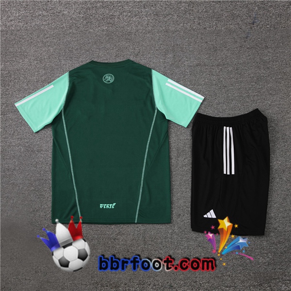 Training T-Shirts Algerie + Shorts Vert 2023/2024