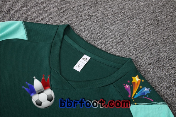 Training T-Shirts Algerie + Shorts Vert 2023/2024