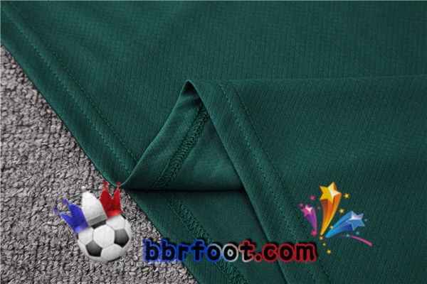 Training T-Shirts Algerie + Shorts Vert 2023/2024