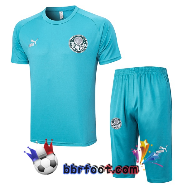 Training T-Shirts Palmeiras + Shorts Cyan 2023/2024