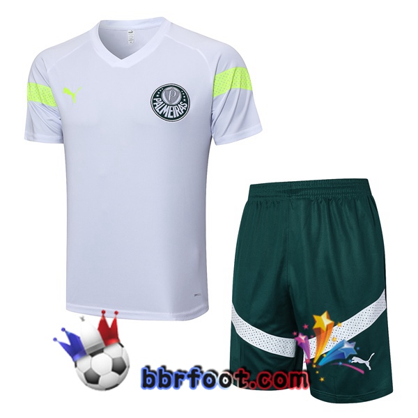 Training T-Shirts Palmeiras + Shorts Blanc 2023/2024