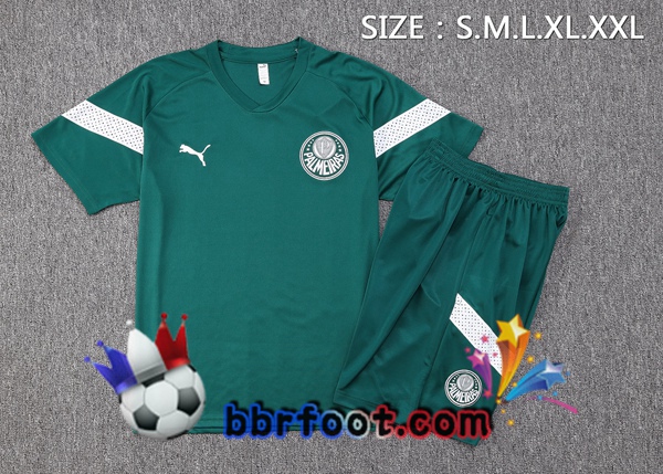 Training T-Shirts Palmeiras + Shorts Vert 2023/2024