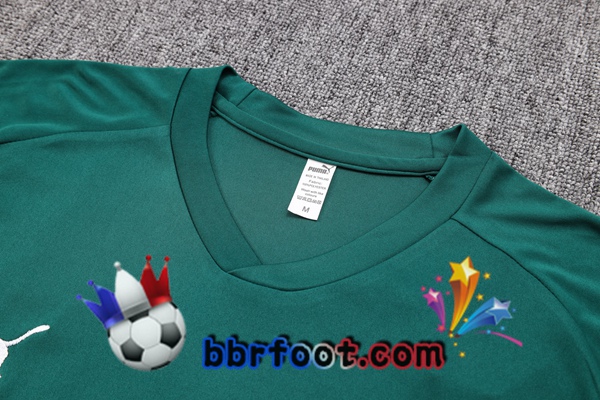 Training T-Shirts Palmeiras + Shorts Vert 2023/2024