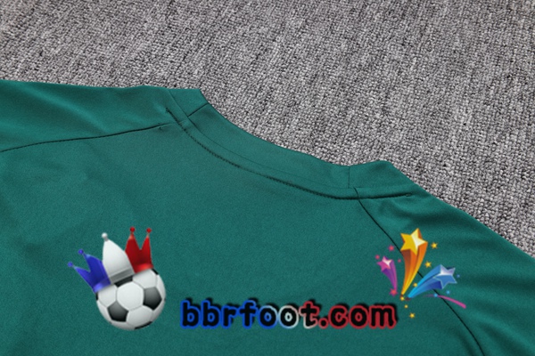 Training T-Shirts Palmeiras + Shorts Vert 2023/2024