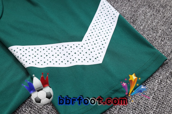Training T-Shirts Palmeiras + Shorts Vert 2023/2024