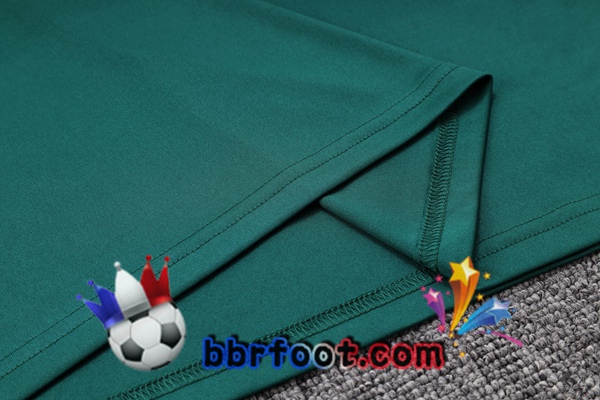 Training T-Shirts Palmeiras + Shorts Vert 2023/2024