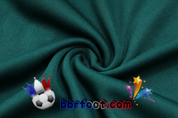 Training T-Shirts Palmeiras + Shorts Vert 2023/2024