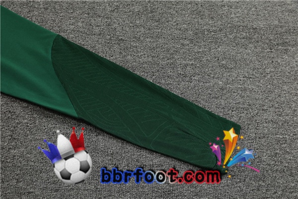 Survetement Foot Portugal Vert 2023/2024