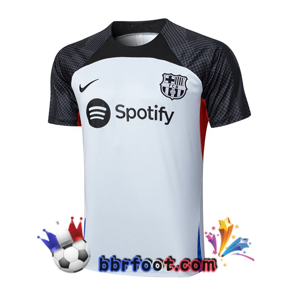 Training T-Shirts FC Barcelone Gris 2023/2024 Training T-Shirts FC Barcelone Gris 2023/2024