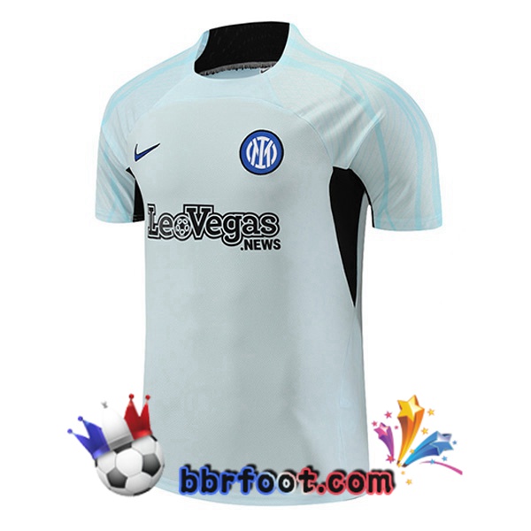 Training T-Shirts Inter Milan Gris 2023/2024