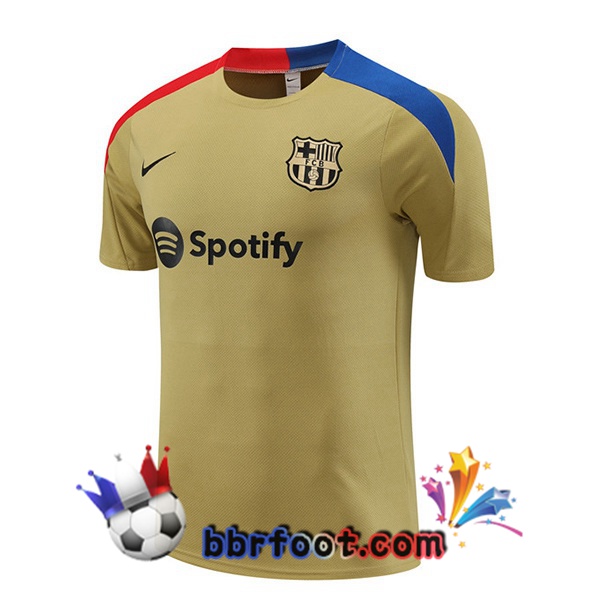 Training T-Shirts FC Barcelone Jaune 2024/2025