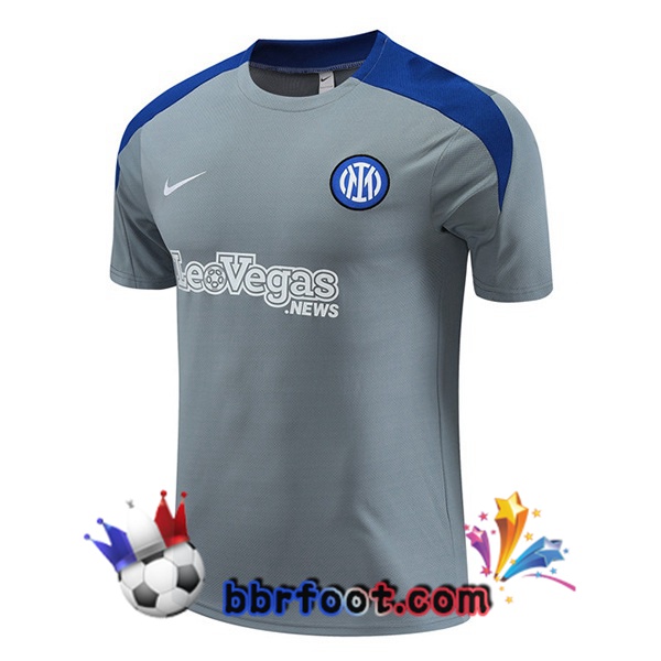 Training T-Shirts Inter Milan Gris 2024/2025
