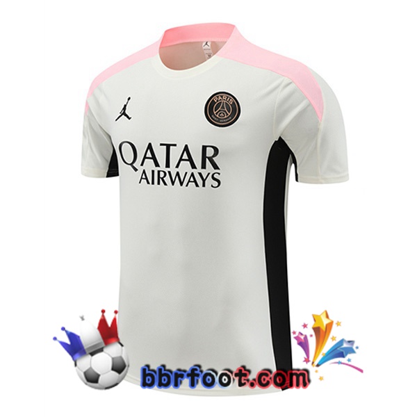 Training T-Shirts Paris PSG Gris 2024/2025